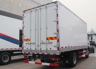 camion de 4X2 LHD 290HP cargaison et de corps commerciaux de Van With 5600*2300*600mm