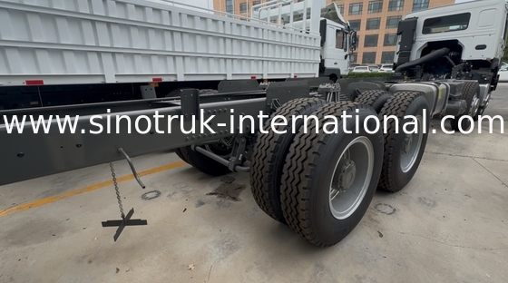 Sinotruk HOWO 8X4 camion de marchandises 400 chevaux 12 roues Ghost Face Cab