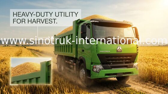 Camion à benne basculante lourd de SINOTRUK HOWO RHD 6X4 pour le chargement de matériau de construction