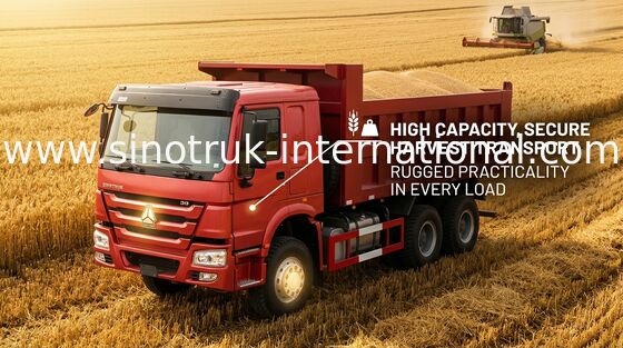 Camion à benne basculante de Sinotruk Howo LHD 371 HP tonnes euros 2 de camion à benne basculante lourd de 25 - 40