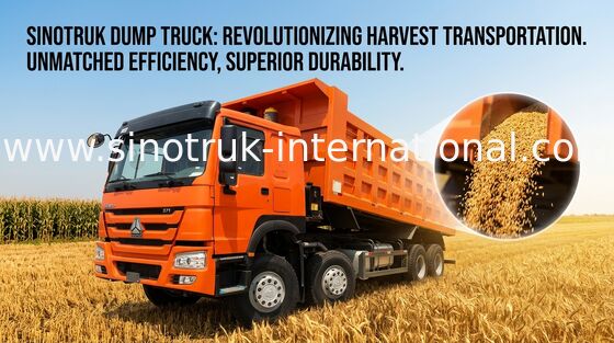 Le camion à benne basculante SINOTRUK HOWO 371HP 12 roule LHD 31tons 20-30CBM ZZ3317N3867W