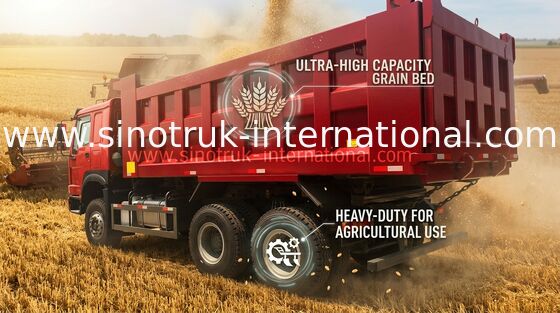 Camion à benne basculante de LHD 6X4 SINOTRUK HOWO avec MINI WD615.47 du joueur 30 - 40 moteur de la tonne