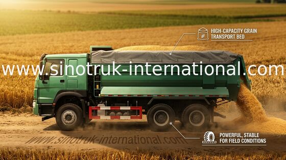Tonnes du camion- du camion à benne basculante de verseur de travaux publics/HOWO 6X4 LHD 25 10 - 25 CBM