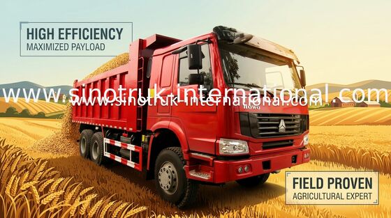 Camion à benne basculante résistant de LHD 6X4 SINOTRUK HOWO avec la couverture de bâche/couverture en métal