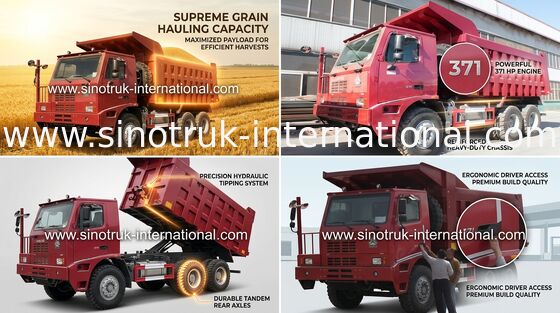 10 roues camion à benne basculante de 70 tonnes avec la cabine squelettique de haute résistance unilatérale