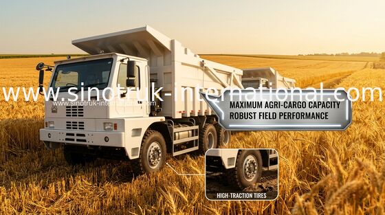 70 tonnes de verseur de camion à benne basculante SINOTRUK HOWO70 extrayant LHD 6X4 420HP