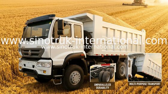 Camion d'or 10Wheels 336HP LHD 25-30tons ZZ3251N3641W à prince benne basculante de SINOTRUK