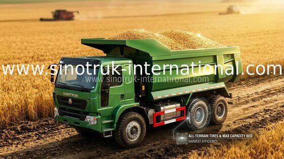 SINO consommation de carburant résistante de camion camions/10 basse 371HP à benne basculante de rouleur de HOWO