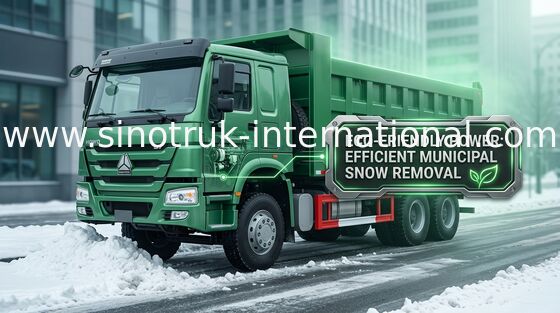 Camion à benne basculante de verseur de SINOTRUK HOWO 371HP 8X4 LHD 31tons 20-30CBM ZZ3317N3267W