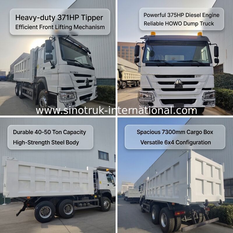 SINOTRUK HOWO 371HP Camion-déchargeur à bascule lourd avec 10 roues et boîte de chargement rectangulaire
