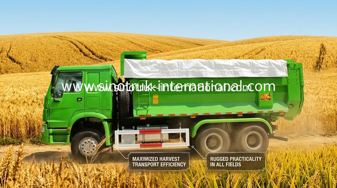 Le camion à benne basculante résistant municipal de verseur SINOTRUK HOWO LHD 336HP 10 roule