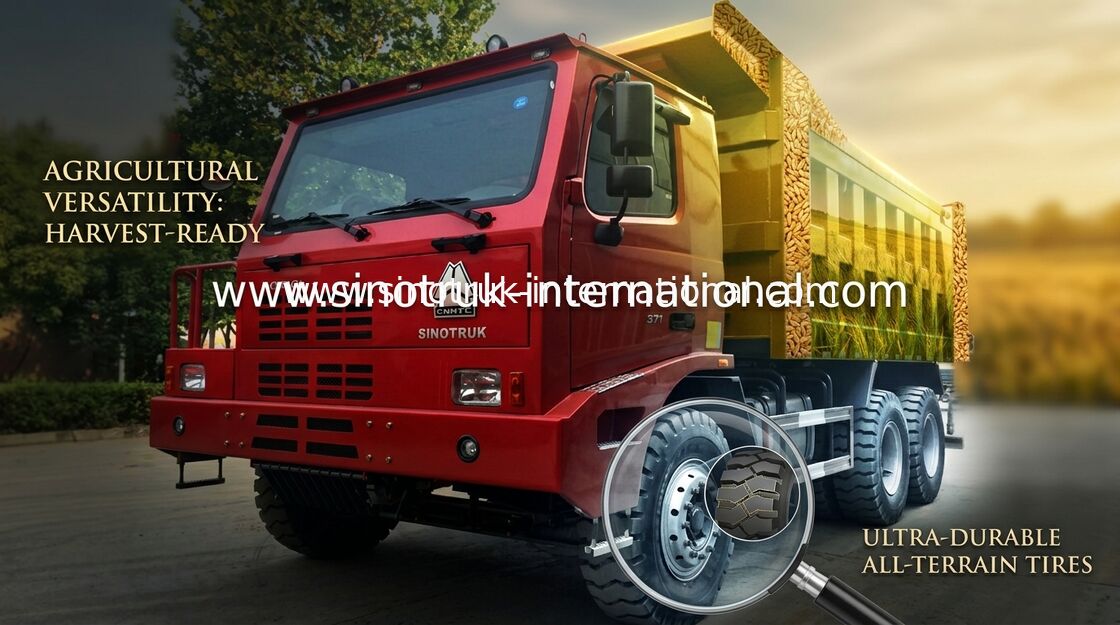 Camion- coloré du camion à benne basculante de SINOTRUK HOWO 6x4/HOWO pour le mien
