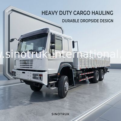 Sinotruk Howo tout nouveau camion de fret 6 × 6 à traction intégrale Lhd 10 roues Long Cargo Box