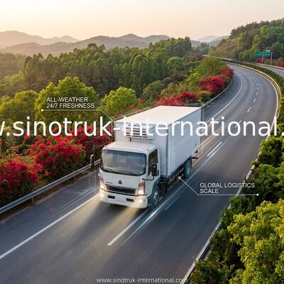 SINOTRUK HOWO camion réfrigéré 160HP RHD de 10 tonnes