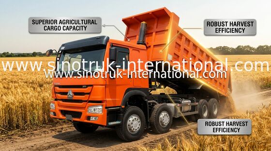 Le camion- SINOTRUK HOWO 371HP 12 roule LHD 31 tonnes de 20-30CBM ZZ3317N3567W