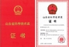Chine SINOTRUK INTERNATIONAL CO., LTD. certifications