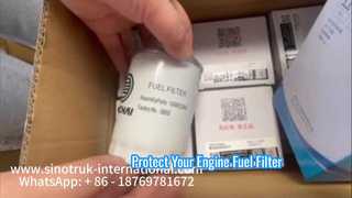 Élément de filtre à carburant 1000622860